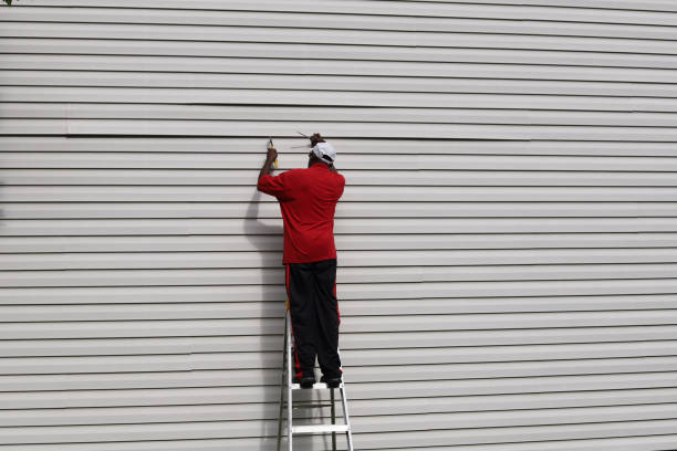 Best Historical Building Siding Restoration  in Hinckley, MN
